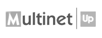 Multinet